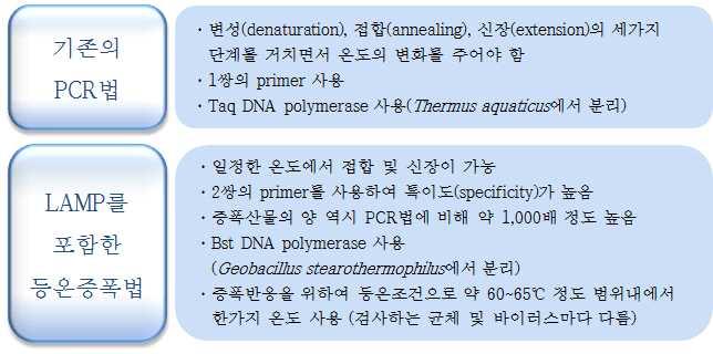1. 서론 배경 등온증폭법 (Isothermal DNA amplification) 은일본, 유럽등세계적으로는신속검출기법으로알려져있으나국내에서는잘알려지지않은분자생물학적검출기법이다. 분자생물학적증폭으로는중합효소연쇄반응법 (PCR, polymerase chain reaction) 이가장많이알려져있으며분자생물학의발전을주도한방법이기도하다.