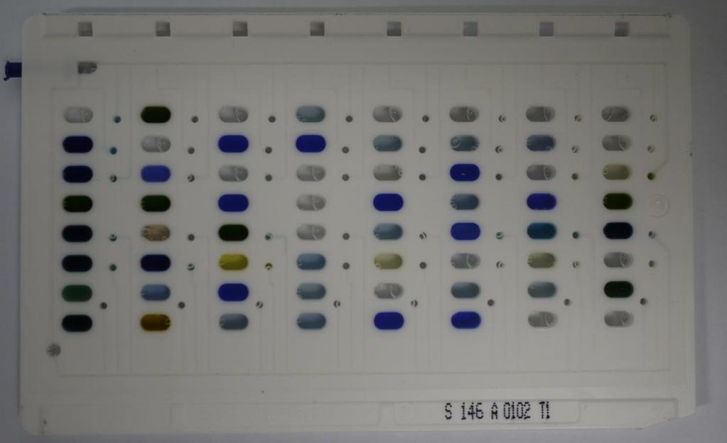 세균동정검사 (27) 세균동정검사