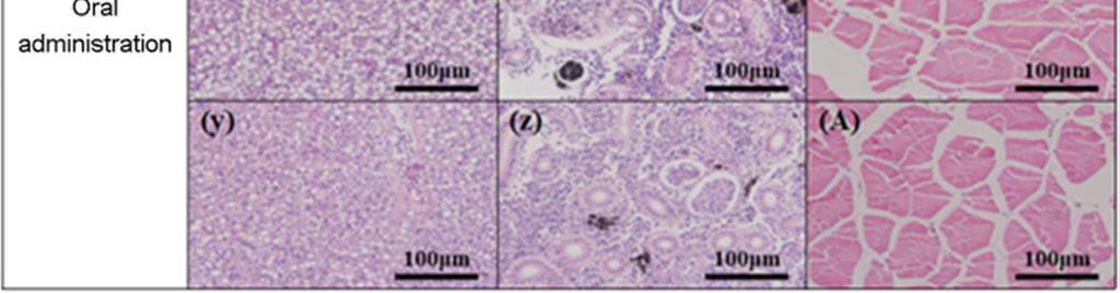 The efficacy and safety of enrofloxacin antibiotics to Streptococcus parauberis PH0710 infected starry flounder (Platichthys stellatus). J Fish Mar Sci Educ 31: 459-473.