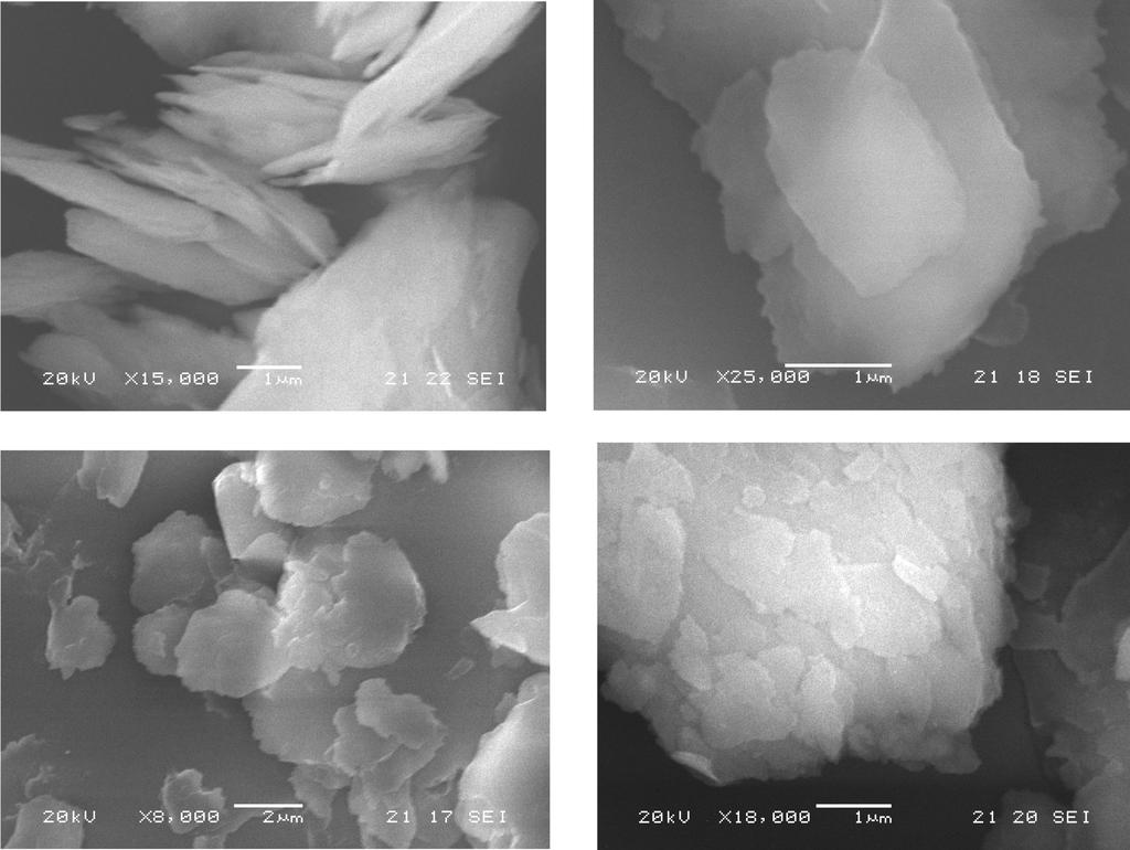 일라이트 분체 내에 함유된 산화철 제거에 옥살산과 L-아스코르브산이 미치는 영향 Fig.. 143 Scanning electron microscopic images of untreated illite.