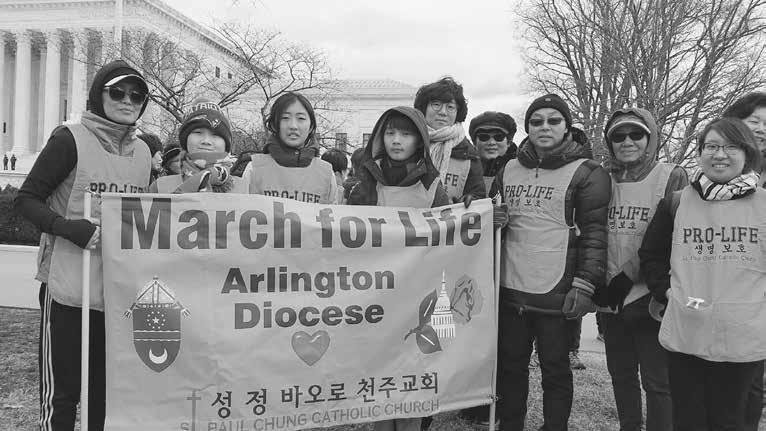 3 2017 March for Life Two 6 th graders from St. Paul Sunday school participated at the 2017 March for Life on Jan 27 at Washington DC.