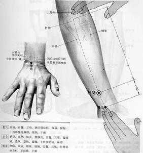 외관 (SJ 5 혹은 TE 5; Waiguan) 8. 삼음교 (SP 6; Sanyinjiao) 외관은삼초경의 5번째경혈로, 팔꿈치와손등주름사이의 1/6 지점에있다.