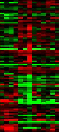 이 85개의유전자는위암세포주에서공통적으로항암제감수성에영향을주는유전자로여겨지며이 85개의유전자와항암제감수성과의연관성을표현한 hierarchical clustering은다음과같다 ( 그림 3A).