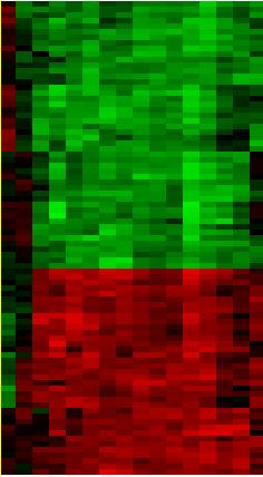 그림 3A에서초록색은유전자와항암제가 negative correlation 즉감수성을의미하며붉은색은유전자와항암제가 positive correlation, 즉저항성을가지는것을의미한다.