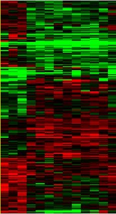 M 211 genes 2.5 2.0 1.5 log 10 ICIC 50 1.0 0.5 0.0-0.5-1.0 log 10 Cmax -1.5-2.0-2.5 그림 4. 위암세포주에서약제별항암제감수성과저항성을나타내는유전자의 hierarchical clustering.