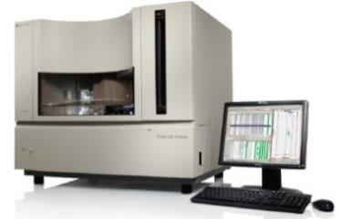 Analysis system 전장유전체염기서열분석 (whole genome sequencing) 및대용량표적유전자동시염기서열분석 (target gene sequencing)