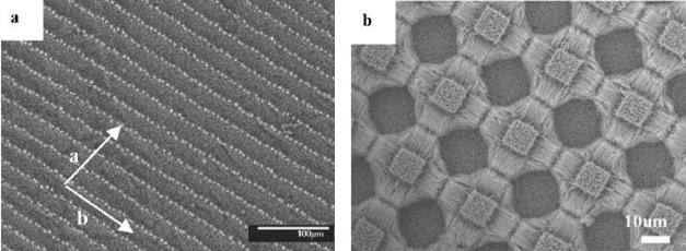 Scanning electron microscope(sem) image of densely packed ACNT films(top view), and cross-sectional view(inset). SEM image of patterned CNTs induced by water spreading.