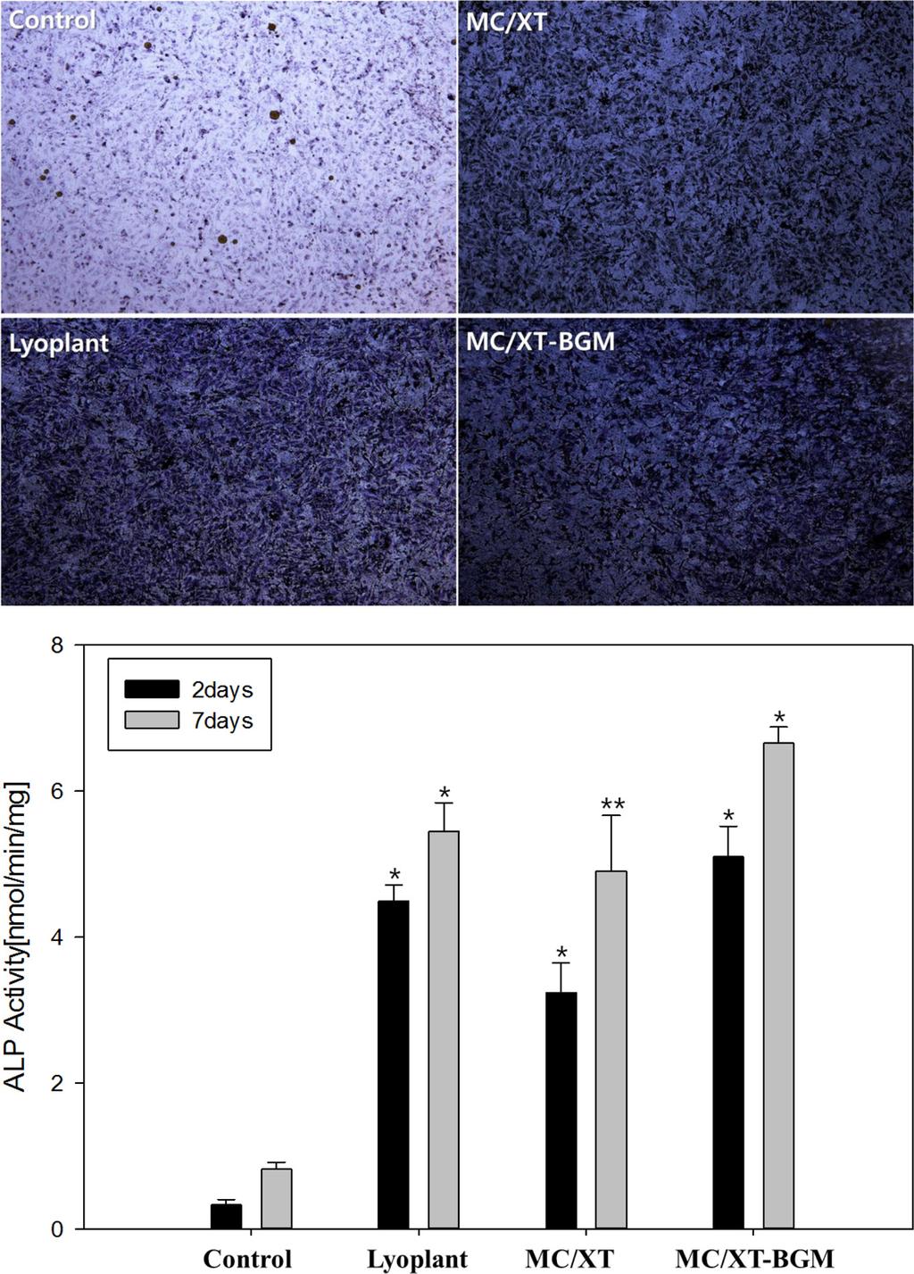 Aprilia 등의연구에서 xenograft, hydroxyapatite 그리고 hydroxyapatite-chitosan을처리한 osteoblastic cell line에서세포증식률을실험한결과고분자가결합된 hydroxyapatite-chitosan 그룹에서세포증식률이높게나타났다. 또한 hydroxyapatite는세포증식을증가시킬수있다는연구보고가있다.