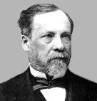 3) 논쟁의종지부 o Louis Pasteur 의실험 배양에서뿐만아니라직접적인현미경관찰로공기중에미생물이존재하는것을보여줌 발효를시작할때나멸균된배지가부패될때미생물이존재하는것을보여줌