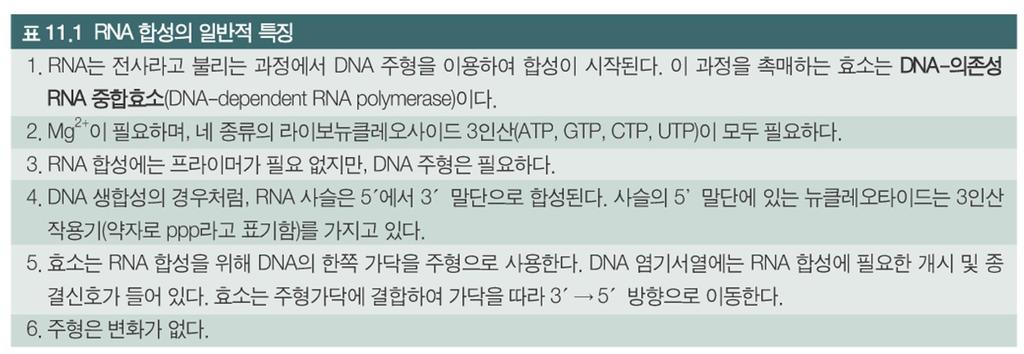 DNA, RNA-P nntp