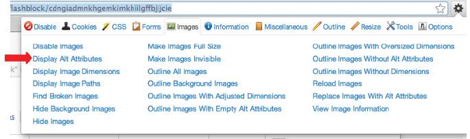 3단계 Images 항목중두번째 Display Alt Attributes"