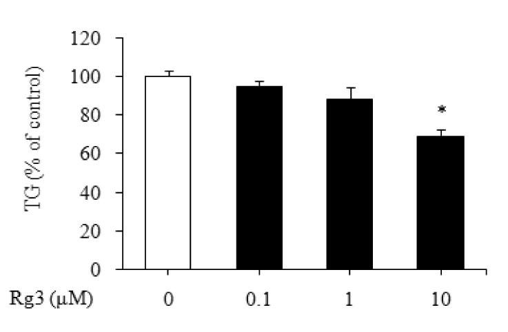 이막순등 : Ginsenoside Rg3 에의한지방세포분화억제효과 A B Fig. 2. Effect of ginsenoside Rg3 on lipid accumulation. The 3T3-L1 adipocytes were treated with 10 μm ginsenoside Rg3 and incubated for 2, 5 or 7 days.