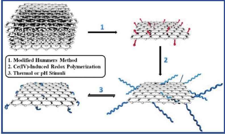 Ø Stimuli-responsive polymer covalent functionalization of graphene oxide by Ce(IV)-Induced redox polymerization 7 - 자극감응형폴리머인 poly(acrylic acid) 와 poly(n-isopropylacrylamide) 는간단한 Ce(IV)-induced