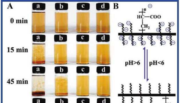 Table 1 Graft ratio of PNIPAM evaluated by elemental