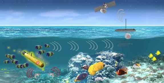 미 DARPA, 해양생물을활용한전략해역감시추진 m 미국 DARPA 가해양생물의자연적감지능력을이용하여해협, 연근해같은전략해역에서관심활동이발생할때이를탐지하고신호를보내는새로운사업을추진중임.