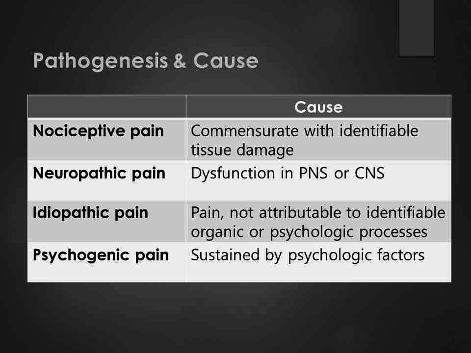 조현희 Introduction to Physiology of Pain