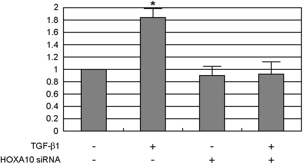 대한생식의학회지 Figure 3. Effect of HOXA10 sirna on COX-2 expression. TGF-β1 (10 ng/ml, for 48 hr) upregulates PRL mrna expression. These effect was inhibited by treatment of HOXA10 sirna.