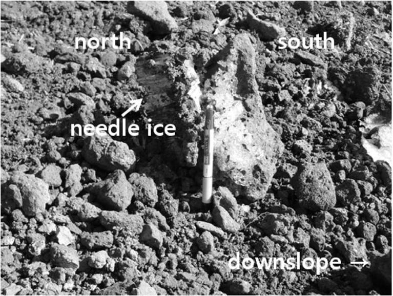 Figure 9. Partial thaw of needle ice makes a gravel to fall and tilt downslope.
