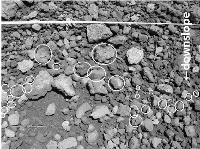 Figure 10. The movement of gravels gets faster with an increase of gravel size. The measuring tape indicates the original position of Line.