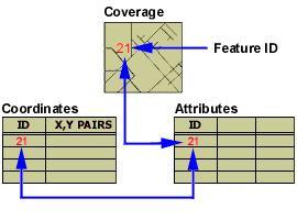 관계형데이터베이스관리시스템 (Relational Database Management System) Ø 행과열로된 2