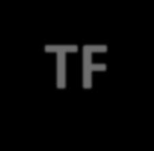 TF-IDF(Term Frequency -