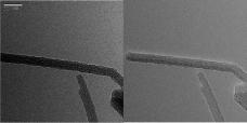 loss spectroscopy) detectors from the red line(marker) on the TEM image. 그림 31.