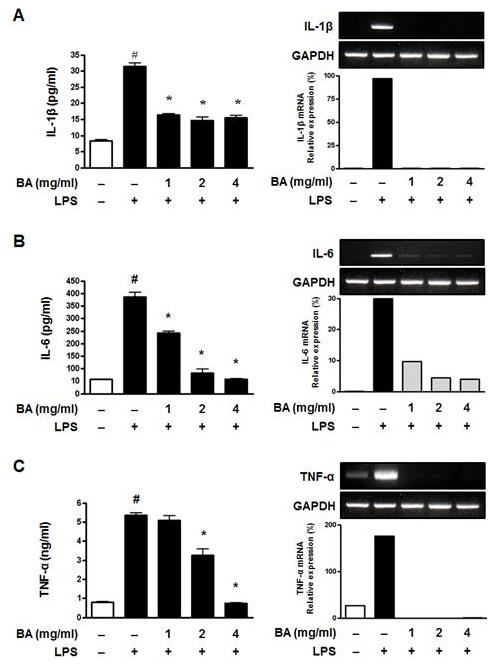 53 pg/ml이었으나, LPS 자극군에서 386.40±34.36 pg/ml 로유의한상승을보였으며, BA(1, 2 및 4 mg/ml) 전처리후 LPS 자극군에서각각 242.50± 11.21, 81.39±35.38 및 58.81±0.86 pg/ml 로모든농도에서 LPS 자극군에비해유의한감소를나타내었다.