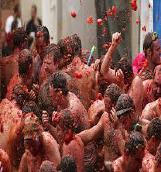 Notas culturales 스페인의축제 1. 라토마티나 (la Tomatina) 매년 8월의마지막주수요일, 발렌시아지방의작은시골마을부뇰 (Buñol) 에서토마토축제가열린다.