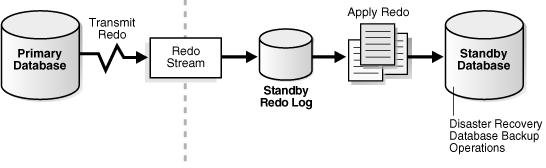 [Transmitting Redo Data from a Multi-Instance Primary Database] [Active Data Guard with Oracle RAC Standby
