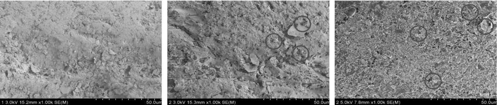 만큼의 미세한 조각들이 존재함을 확인 할 수 없었으나, 함으로 미생물의 생장이 어려워 탄산칼슘이 거의 생성 다음과 같이 표시된 부분에서 Ca의 함유량이 많이 검출 되지 않은 것으로 판단된다.