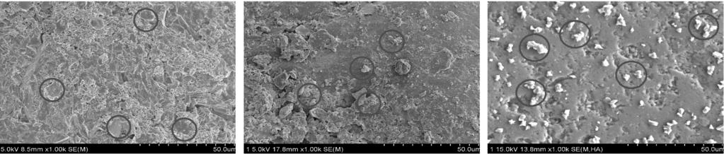 이러한 알갱이는 미생물 반응으로 생성되는 모래의 경우 Figure 6과 같이 무처리에서는 거의 나타 나지 않은 Ca 양에 비해 일반농도처리를 사용할 경우 약 정육각형 모양의 탄산칼슘이라고 할 수 있다.