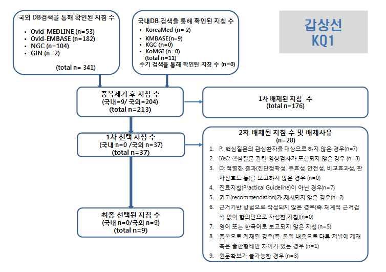 근거기반임상영상가이드라인개발 :