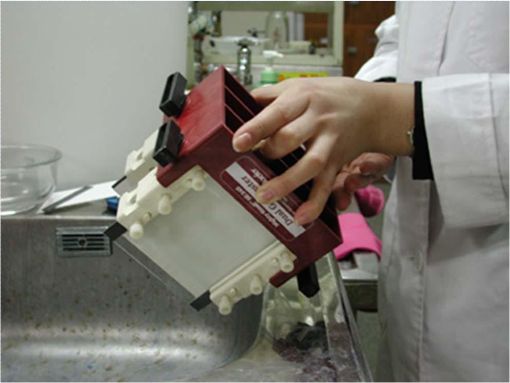 Stacking gel 제조 magnetic plate 위에서교반시키면서 gel solution 제조