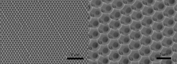 Various Si Nanostructures for