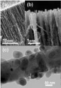 Meso-porous connected electrode