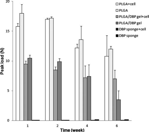 792 이윤미 심초록 이유정 김하늘 조선아 송정은 이동원 강길선 Figure 2. Compressive strength of PLGA and PLGA/DBP gel scaffolds, and DBP sponge seeded chondrocyte during cultivation period.