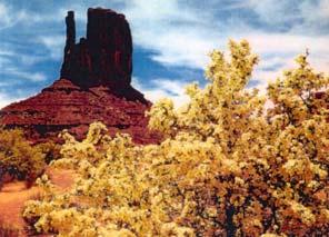 Rainbow Bridge National Monument 는