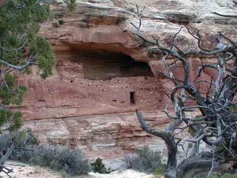 San Juan County의공공토지는 Bureau of Land Management(BLM) 가관리합니다. 사막고지, 강지역및모래사막은다양한여가기회를제공합니다.