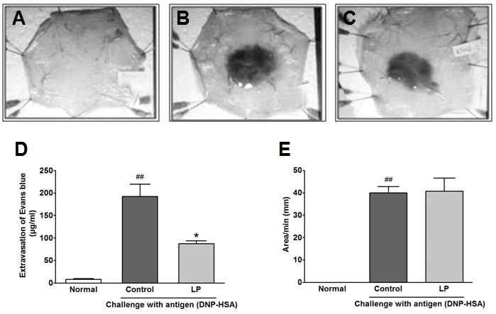 H. S. Kim et al 515 시간동안반응시켰고, 단백질발현은 enhance chemiluminescence (ECL) 시약 (Amersham Pharmacia, NJ, USA) 을이용하여형광감광하였다. 10) 통계분석측정값은평균 ± 표준오차 (mean ± S.E.M.) 로표기하였다.