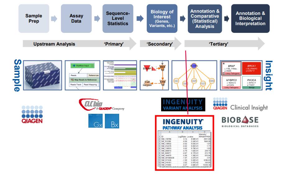 QIAGEN Workflow c 2018