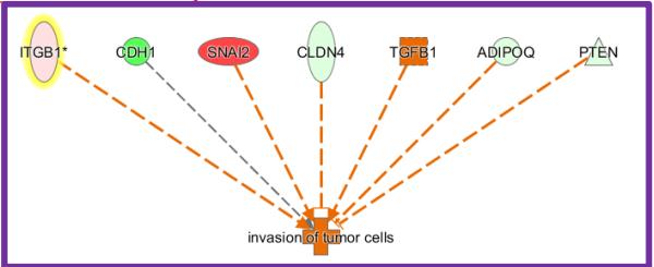 Core Analysis Pathway Analysis Upstream Regulator