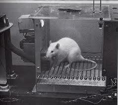 III. 주요개념과성격이론 2) 조작적조건형성 (operant conditioning) Thorndike 의고양이실험을발전시킨