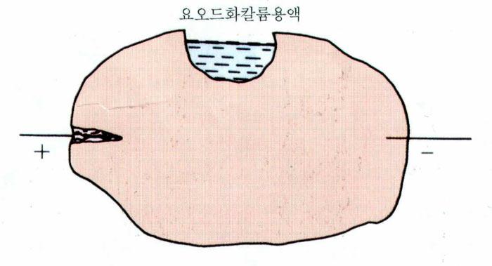 요오드 - 음이온