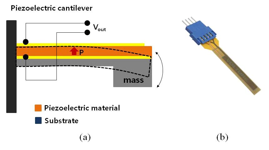 Fig. 6. Operating principle of piezoelectric energy harvesting and commercial device. Fig. 5. Operating principle of bio-mass sensor. 비납계압전박막소재현재활발히연구되고있는비납계압전재료로는대표적으로 BaTiO 3 (barium titanate), K 0.