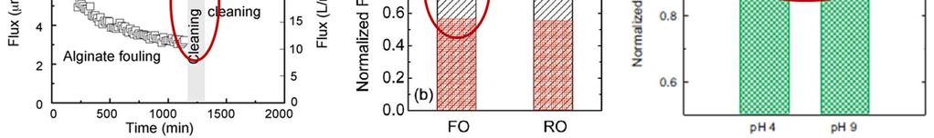 Figure 11 Reversibility of FO membrane fouling with using hydraulic stress, derived by high cross-flow
