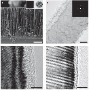 Energy Harvesting 2010 년국내시장 8,000 억원 / 세계시장 4 조원, 연평균 50%