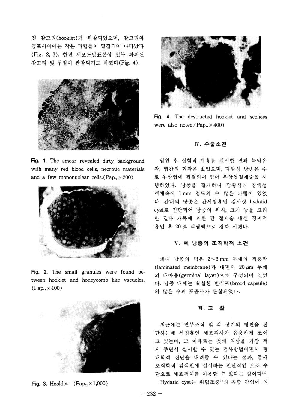 진갈고리 (hooklet) 가관찰되었으며, 갈고리와공포사이에는작은과립들이밀집되어나타났다 (Fig. 2, 3).