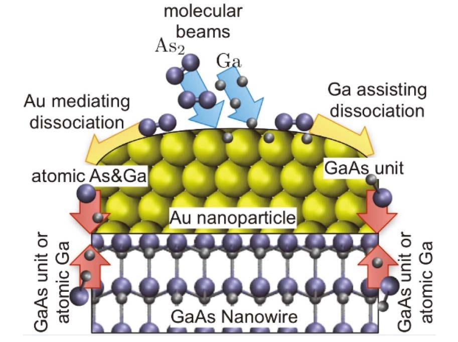 13) VASP, LAMMPS, Phonon, Surfaces, Interfaces, Nanotubes, Amorphous Materials, Trasition State Search., (Fig.