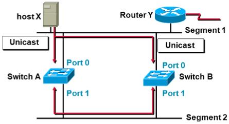 MAX Database Instability - Host x 의 MAX address 가 Switch A 와 B 의 Port 1 에서보이게되어틀린 MAC Table 을작성하게됨 ( 관련 Protocol: ARP) 2.