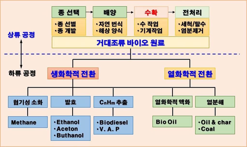 거대조류의산업적활용 거대조류의성분 Representative Composition